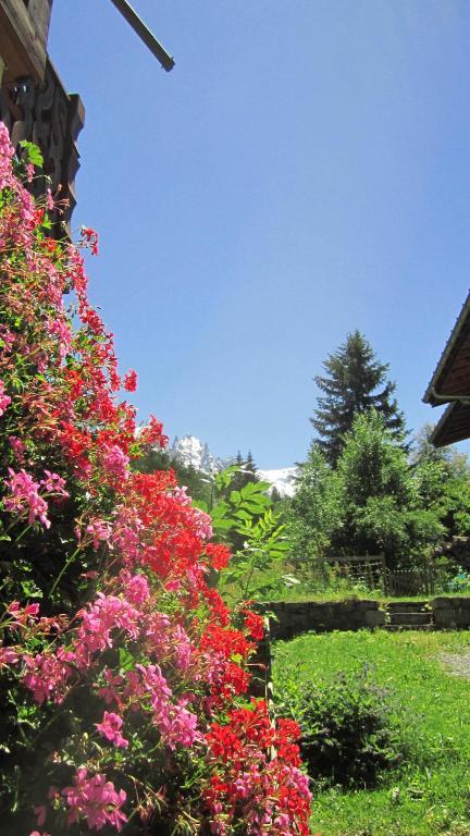 Beausoleil Bed & Breakfast Chamonix Ngoại thất bức ảnh